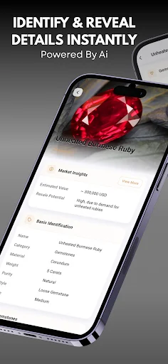 Jewelry Identifier ایپ ڈاؤن لوڈ کریں – زیورات اور قیمتی پتھروں کی پہچان - Screenshot 2