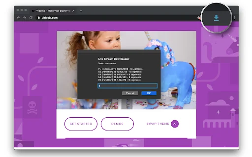 Live Stream Downloader ڈاؤن لوڈ کریں – M3U8 اور HLS ویڈیوز محفوظ کریں - Screenshot 1