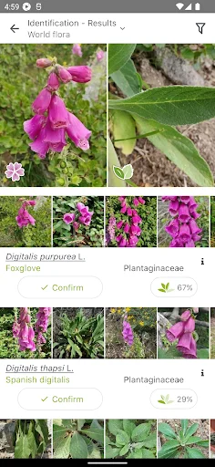 PlantNet Plant Identification ڈاؤن لوڈ کریں – پودوں کی شناخت اب آسان - Screenshot 2