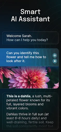 AI Chatbot – Nova ڈاؤن لوڈ کریں – جدید ترین AI ماڈل مفت - Screenshot 18