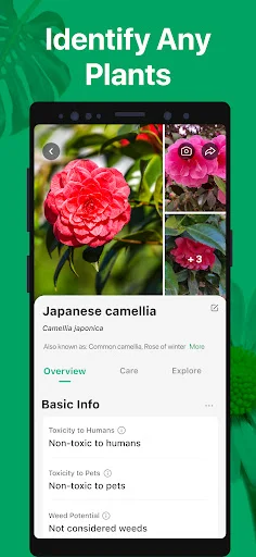 PictureThis ڈاؤن لوڈ کریں – پودوں کی فوری شناخت اور دیکھ بھال - Screenshot 2