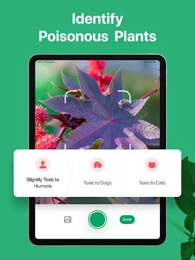 PictureThis ڈاؤن لوڈ کریں – پودوں کی فوری شناخت اور دیکھ بھال - Screenshot 22